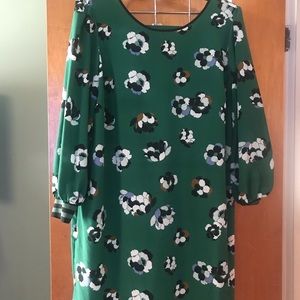 Eloquii shift dress size